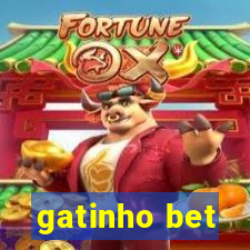 gatinho bet